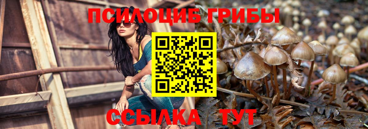 купить наркотик  Вход с VPN  Галлюциногенные грибы GOLDEN TEACHER  Кулебаки  Псилоцибиновые грибы прущие грибы 